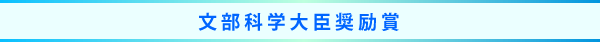 文部科学大臣奨励賞