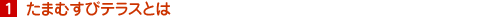 1.たまむすびテラスとは