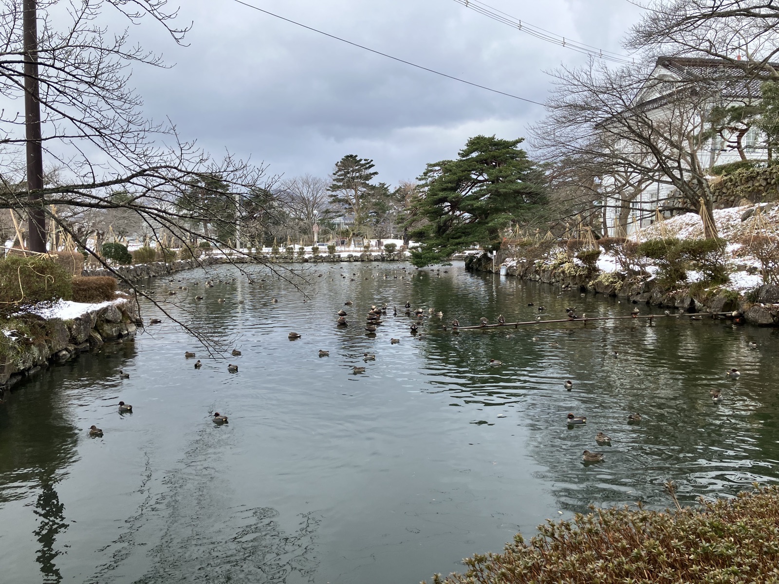 山形県鶴岡市 ～庄内藩城下町の面影が残るまち～